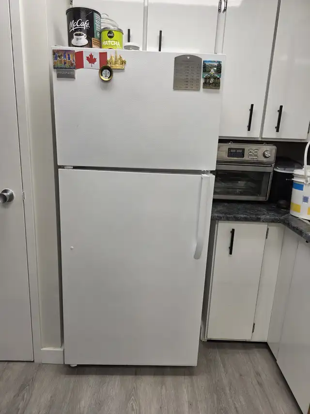Frigidaire Fridge + Freezer62863281554819121