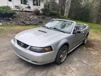 2001 Mustang Convertible 