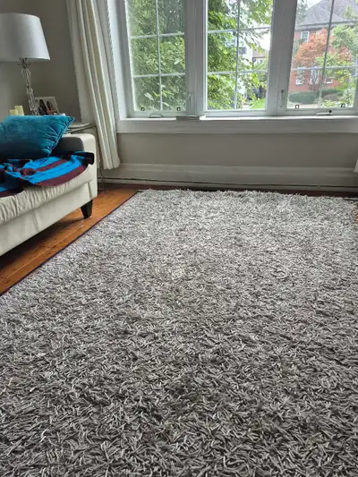 Lanart Rug City Sheen Grey 7x5ft. Indoor Shag Rectangular, View more