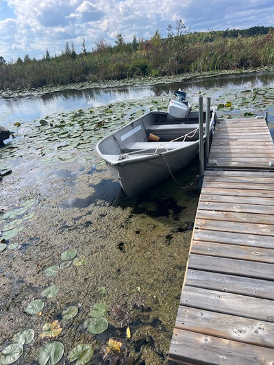 Aluminum fishing boat 11'. The boat does not leak. Motor 6hp Evinrude outboard 2 stroke runs great n...