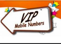 Opening New Business? Get Vip 416-647-905 or 437 Phone Number!
