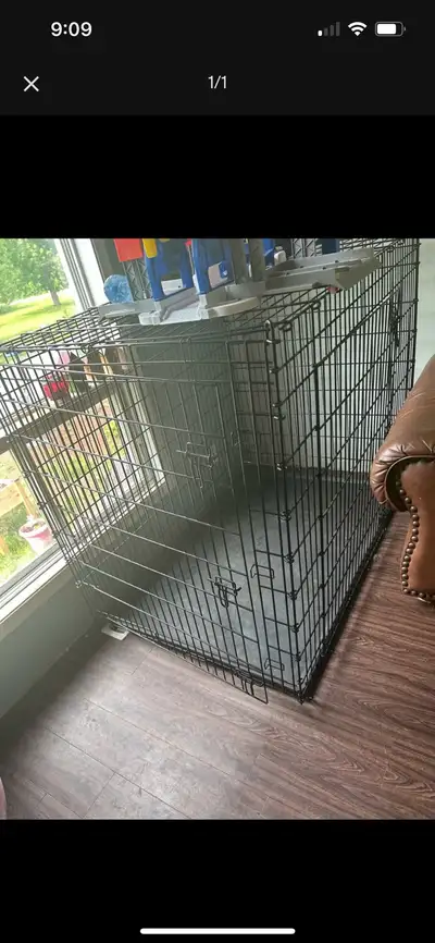 Large dog crate 53 inches long 36 inches wide 45 inches high Pickup in greenfield
