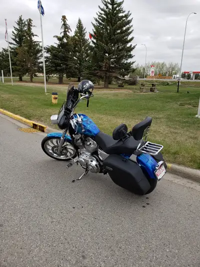 upgraded to 1200. custom paint. lots of custom extras. must sell due to health