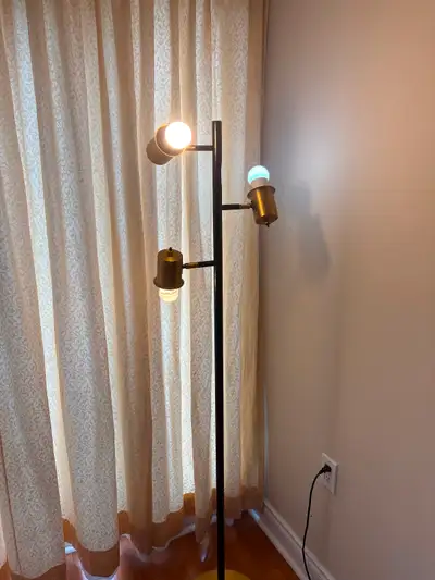 Living Room Lamb, View more