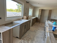 Basement kitchen cabinets and kitchen renovation remodel vaniti