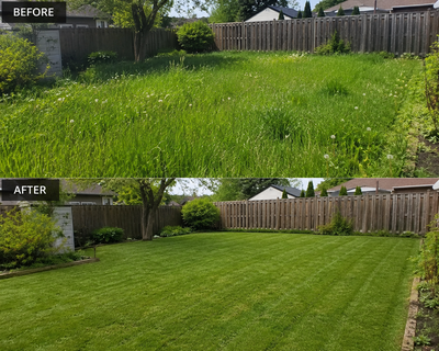 Lawn Mowing & Trimming – Starting at $25/Hour, View more
