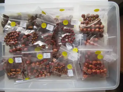 BEADS - WOODEN - all shapes and sizes for jewelry or crafts, View more