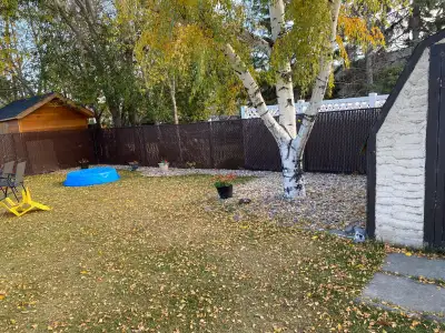 Single big room in basement with kitchen and bath for girls students with separate entrance .800 for...