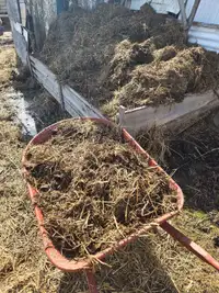 Sheep Manure Compost 