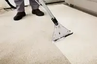 On-Site Machine Carpet Cleaning Starting at $50