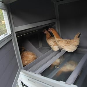 Portable chicken/rabbit/duck coops, brand new, good reviews in Livestock in City of Toronto - Image 4