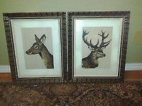Needle Point  Buck and Deer