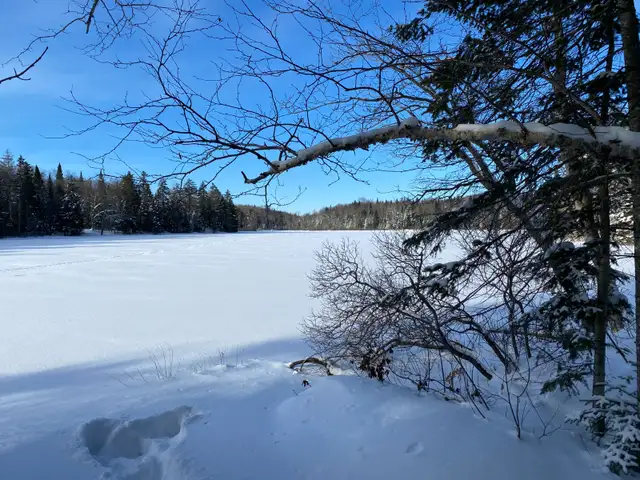 Chalet à louer période des fêtes et été 2026 in Quebec in Canada - Image 5