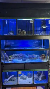 240 Gallon aquarium rack