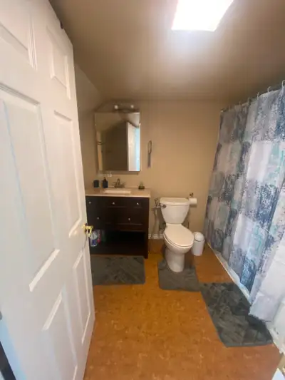 2 bedroom walkout basement with separate entrance, separate laundry room, including 2 parking spot o...