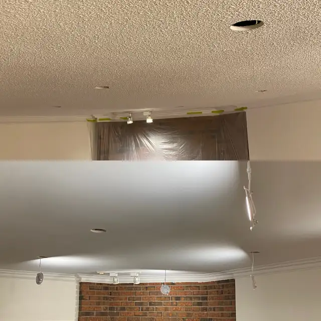 DUSTLESS POPCORN CEILING (STUCCO) REMOVAL64241777885698124