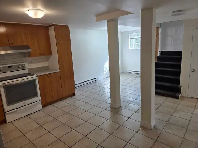 4 ½ (Basement) - 1 Minute Walk from Cadillac Metro