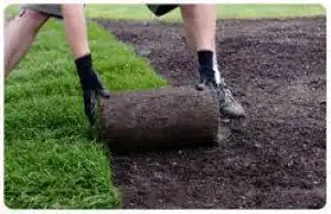 SPRING CLEAN UP, GRASS CUTTING, LAWN MAINTENANCE, View more