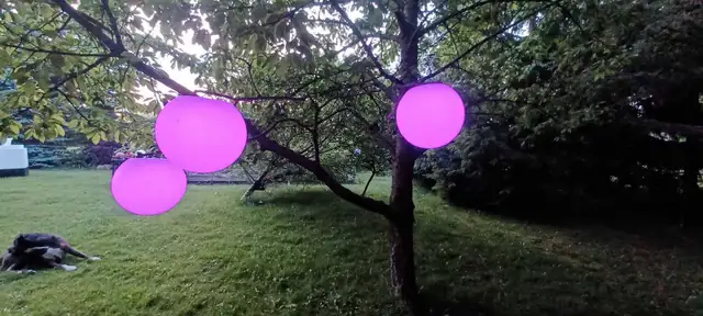 glow ball rental-$15/pc63006658901377122