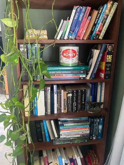 book shelf , View more