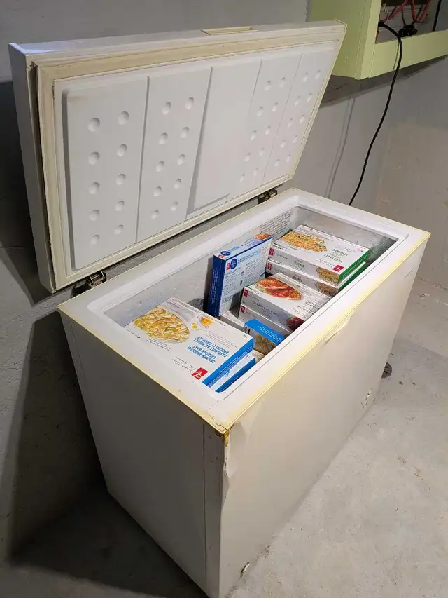 Polar Chest Freezer in Freezers in City of Toronto - Image 3