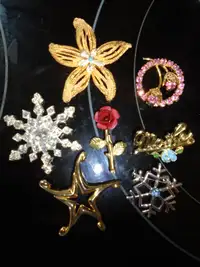 7 NEW Broaches $20. For all