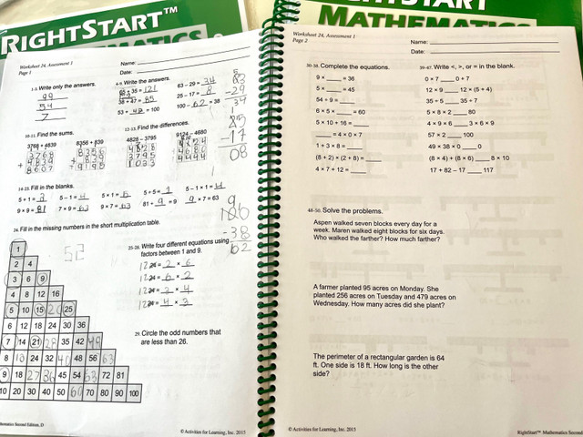 Rightstart Math homeschooling curriculum Level D in Textbooks in Winnipeg - Image 4