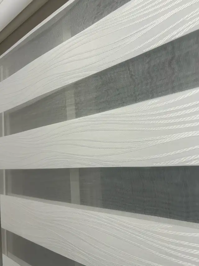 Zebra Blinds Roller Shades Curtain64639724127619124
