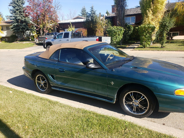 Ford Mustang  Convertible Consider  TRADES in Classic Cars in Red Deer - Image 2