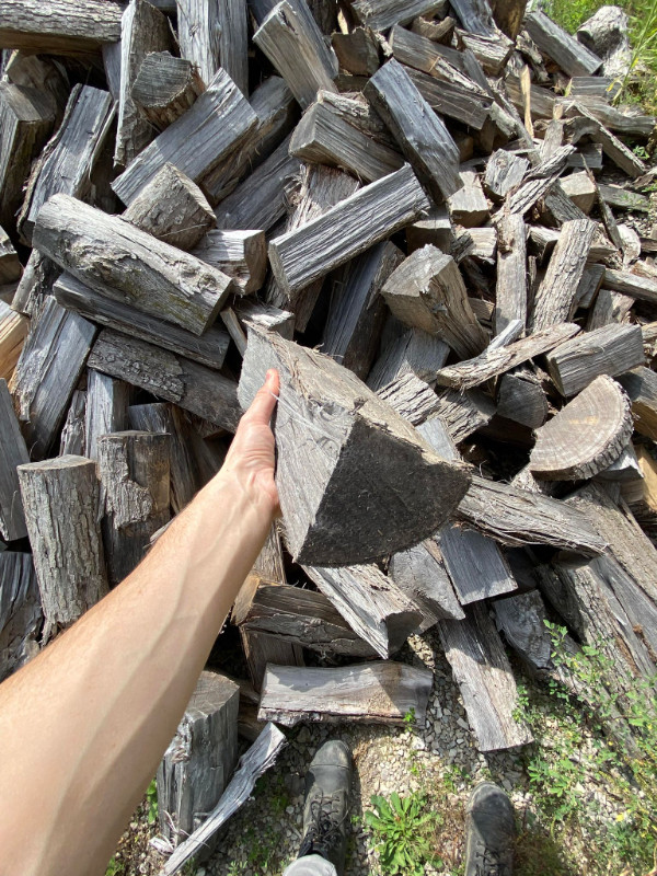 Firewood $85/Face Cord dans Foyers & bois de Chauffage  à Hamilton