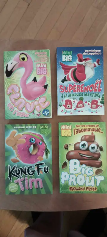 Livres jeunesse : Mon Big et Mon Mini Big  impeccable., View more