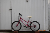 20" Girl's Bicycle