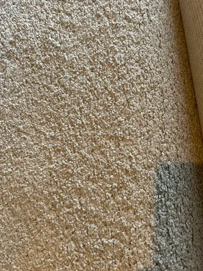  brand new Carpet the same colour 8’9x12-15’9x5’9, View more