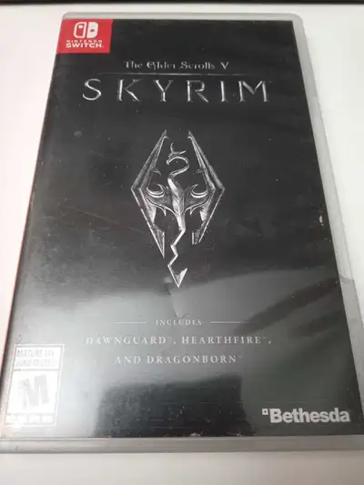 Skyrim Game, View more