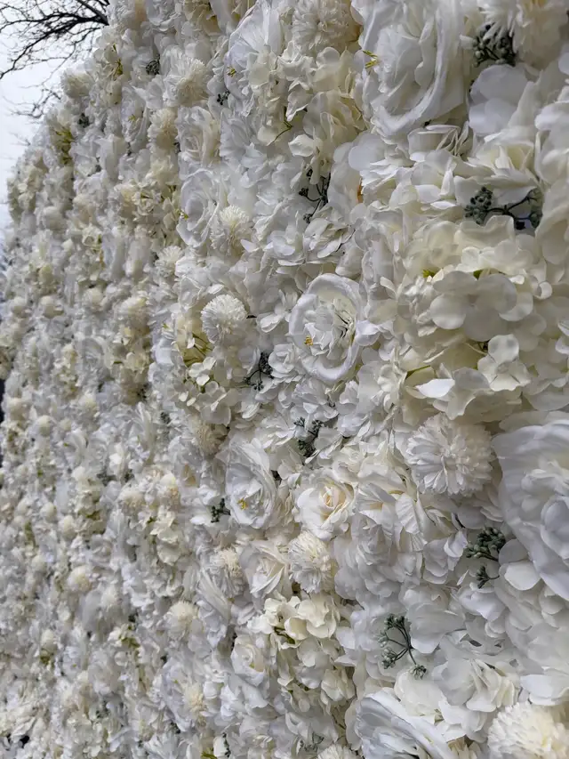 DRAPERY FOR RENT in Events in Ottawa - Image 3