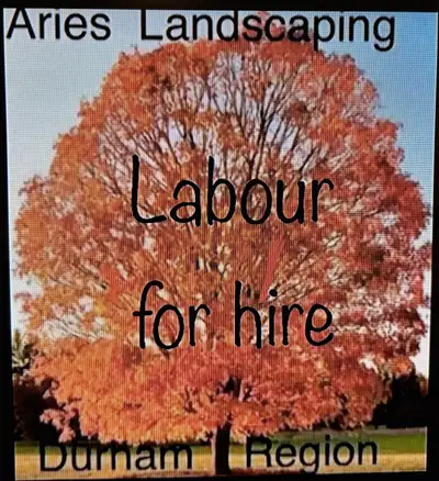 I DIG YOUR GARDEN LANDSCAPING PLANTING - GTA EAST DURHAM, View more