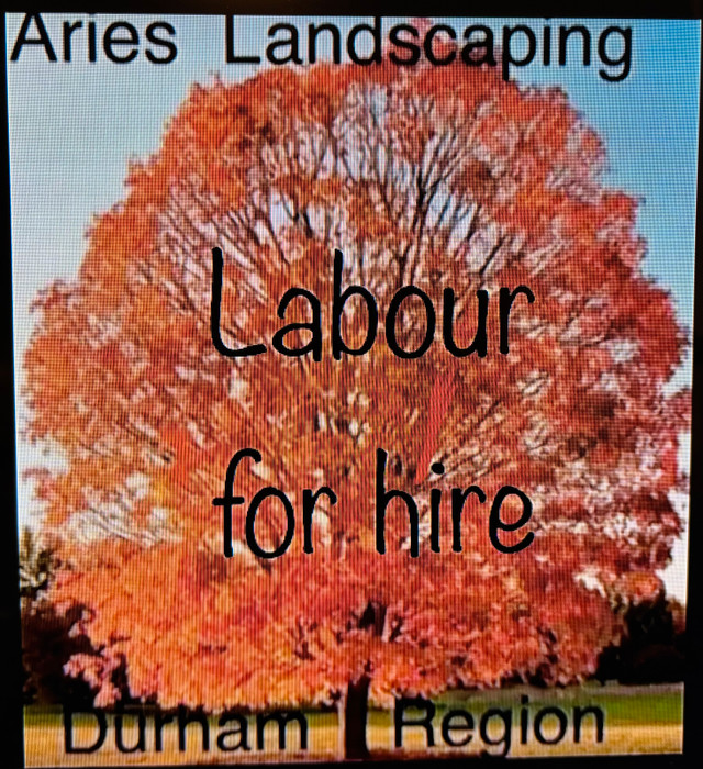 I DIG YOUR GARDEN LANDSCAPING PLANTING - GTA EAST DURHAM in Lawnmowers & Leaf Blowers in City of Toronto