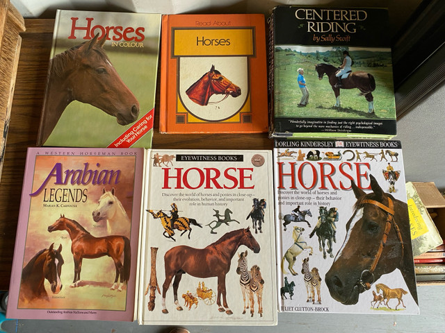 Horse books for sale in Children & Young Adult in Penticton - Image 4