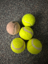 Tennis balls green and one pink 