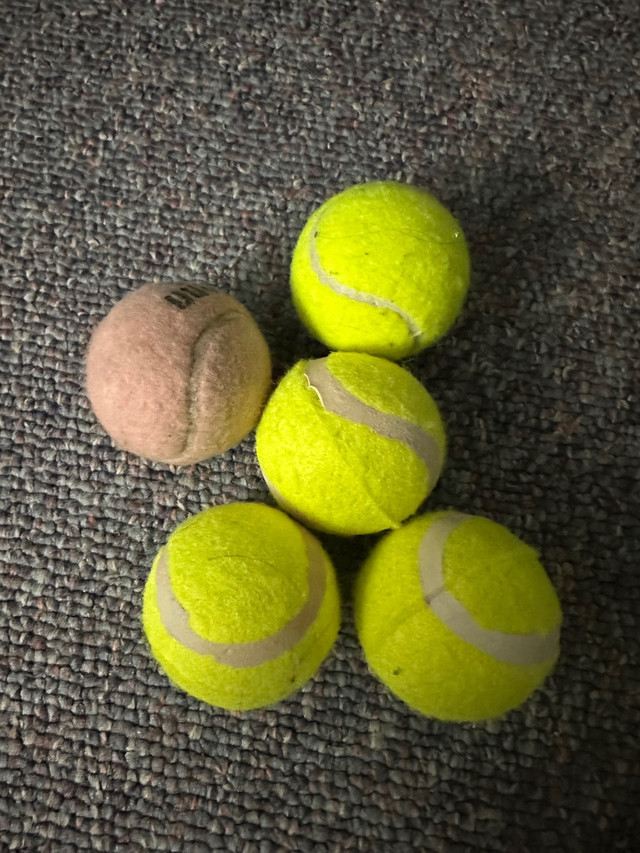 Tennis balls green and one pink  in Tennis & Racquet in Ottawa