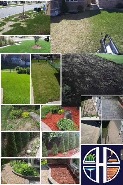double core aeration/dethatchingpowerrake/ gardening cleanups , View more