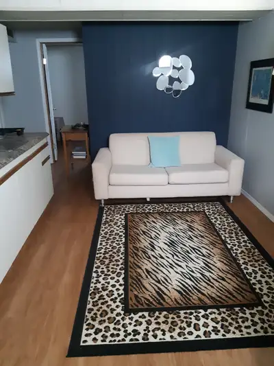 Furnished room 3 blocks from U of S