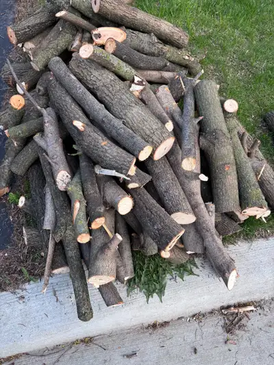 free firewood nicely cut hardwood! see photos!, View more