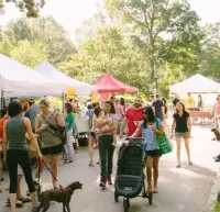 SUMMERLAND DISTRICT MARKET - EVERY TUESDAY