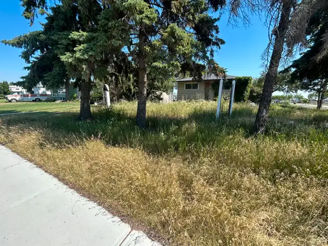 JB’s Lawn Mowing & Spring Clean Up62863714110723124