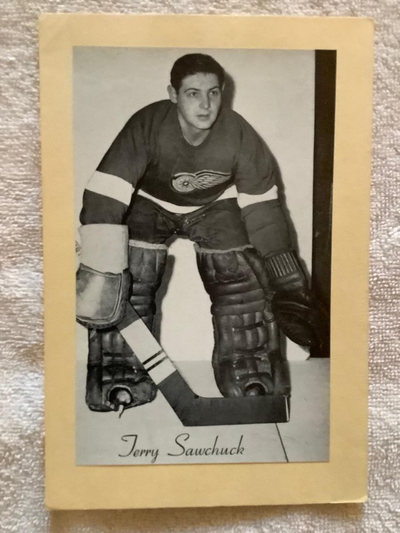 TERRY SAWCHUK - DETRIOT RED WINGS "BEEHIVE PHOTO", View more