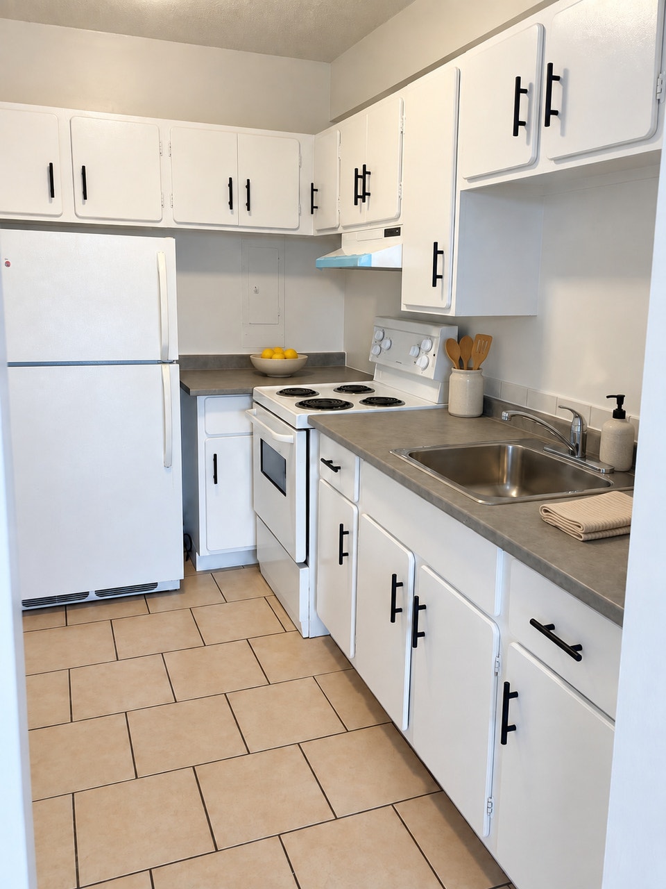 3 1/2  À VILLE SAINT-LAURENT  DISPONIBLE MAINTENANT 5