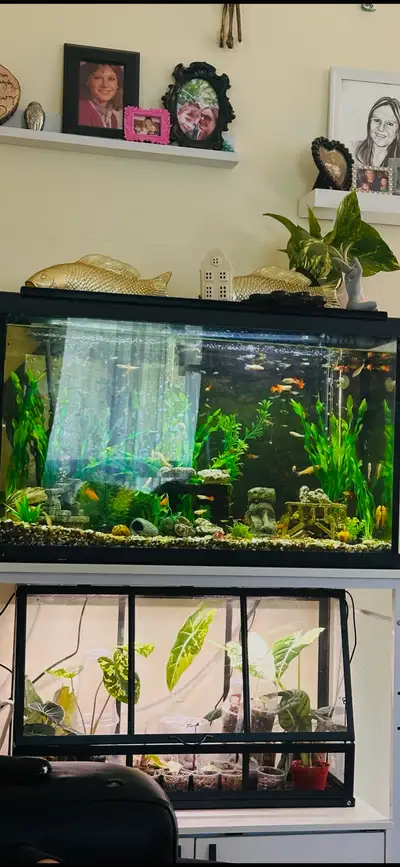 30 gallon fish tank WITH stand , View more