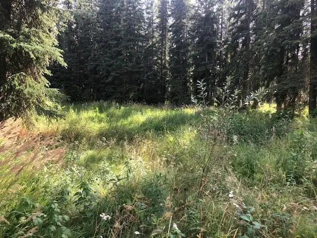 Lot for Sale in Rock Creek in Land for Sale in Whitehorse - Image 4