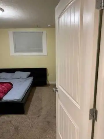 1 bed 1 bath basement for single Coral springs 